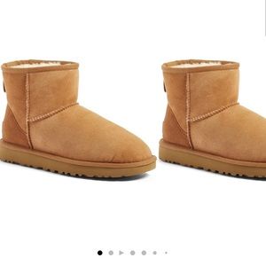 CHESNUT UGG Classic Mini!